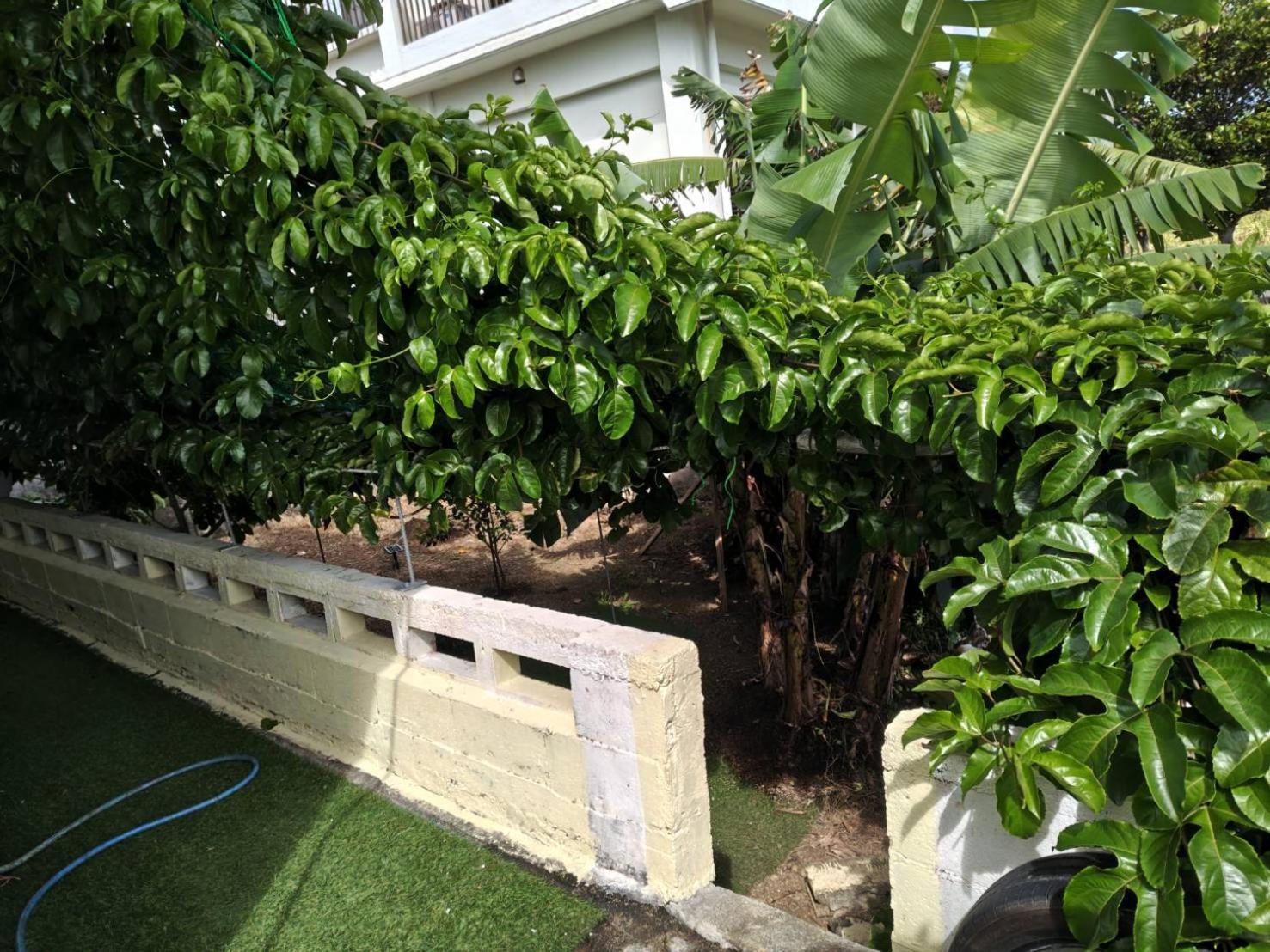 宮古島ゲストハウス　マウイ Miyakojima  Extérieur photo